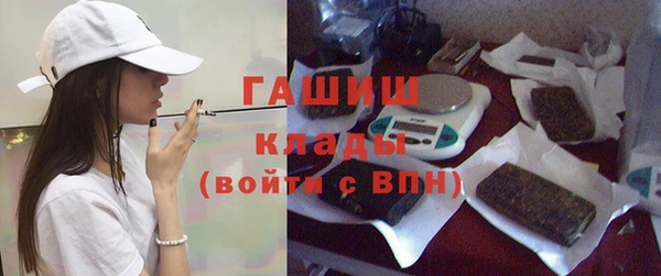 МДПВ Бородино
