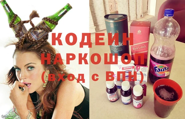 МДПВ Бородино