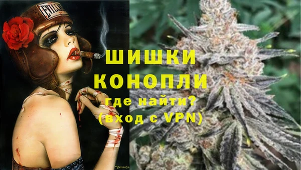 МДПВ Бородино