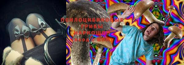 МДПВ Бородино