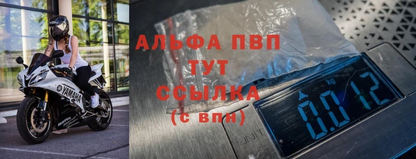 МДПВ Бородино
