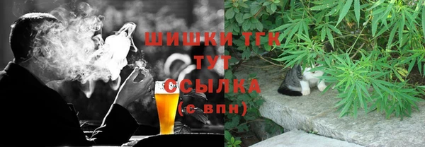 МДПВ Бородино