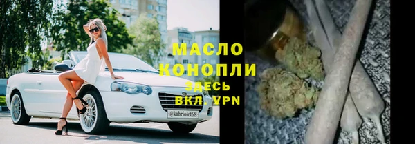 МДПВ Бородино