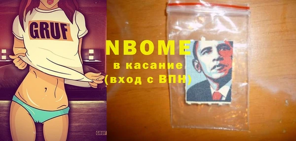 МДПВ Бородино