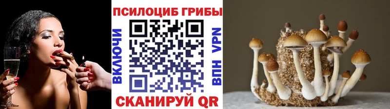 Галлюциногенные грибы мухоморы  продажа наркотиков  ссылка на мегу ONION  Трёхгорный 
